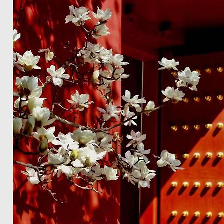 Hotel Cote Cour Deductive Beijing - Quadrangle Close To Tiananmen Square & Forbidden City & Nanluoguxiang, Walk To Wangfujing, English Speaking, Free Wifi, Free Laundry, Free Wonton & Noodles With Tour Ticket Service, Free Selfies With Ancient Costum מראה חיצוני תמונה